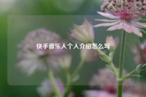 快手音乐人个人介绍怎么写