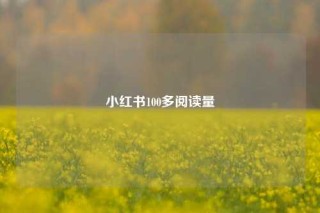 小红书100多阅读量
