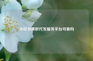 小红书兼职代发服务平台可靠吗