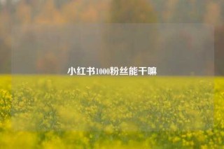 小红书1000粉丝能干嘛