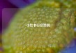 小红书行业类别