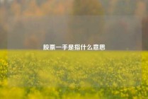 股票一手是指什么意思