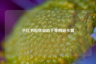 小红书粉丝自助下单网站卡盟