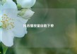 抖音播放量自助下单