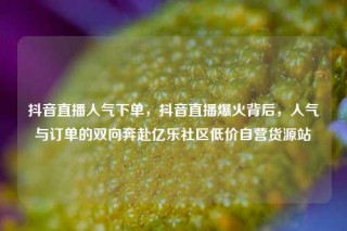 抖音直播人气下单，抖音直播爆火背后，人气与订单的双向奔赴亿乐社区低价自营货源站