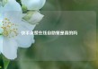 快手点赞在线自助餐是真的吗