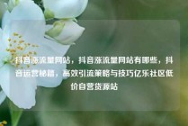 抖音涨流量网站，抖音涨流量网站有哪些，抖音运营秘籍，高效引流策略与技巧亿乐社区低价自营货源站