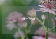 30元一下的烟