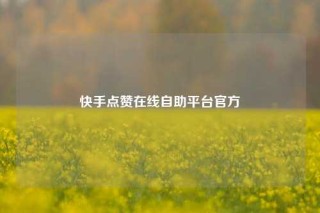 快手点赞在线自助平台官方