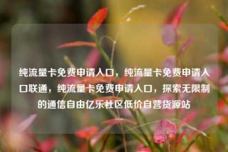 纯流量卡免费申请入口，纯流量卡免费申请入口联通，纯流量卡免费申请入口，探索无限制的通信自由亿乐社区低价自营货源站