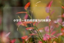 小学生一年的阅读量大约有多少