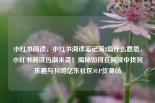 小红书阅读，小红书阅读笔记满8篇什么意思，小红书阅读热潮来袭！揭秘如何在阅读中找到乐趣与共鸣亿乐社区SUP货源站