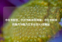 小红书粉丝，小红书粉丝如何涨，小红书粉丝的魅力与魅力亿乐社区SUP货源站