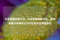 抖音刷播放量平台，抖音刷播放量平台，揭秘高曝光的秘密亿乐社区低价自营货源站