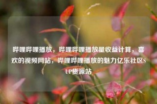 哔哩哔哩播放，哔哩哔哩播放量收益计算，喜欢的视频网站，哔哩哔哩播放的魅力亿乐社区SUP货源站