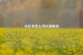 小红书怎么可以涨粉丝