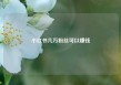 小红书几万粉丝可以赚钱