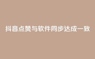 抖音点赞与软件同步达成一致