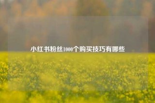 小红书粉丝1000个购买技巧有哪些