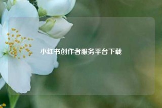 小红书创作者服务平台下载