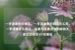 一手货源低价商品，一手货源低价商品怎么卖，一手货源低价商品，品质与实惠并存的购物天堂亿乐社区SUP货源站
