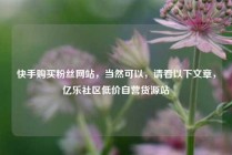 快手购买粉丝网站，当然可以，请看以下文章，亿乐社区低价自营货源站