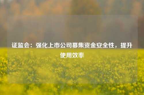 证监会：强化上市公司募集资金安全性，提升使用效率  第1张