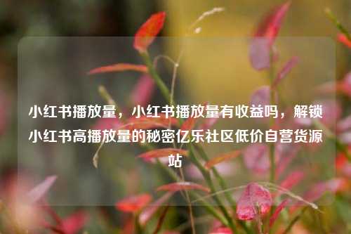 小红书播放量，小红书播放量有收益吗，解锁小红书高播放量的秘密亿乐社区低价自营货源站  第1张