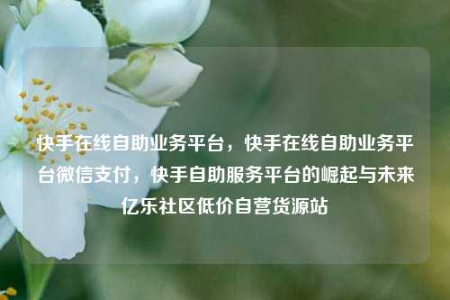 快手在线自助业务平台，快手在线自助业务平台微信支付，快手自助服务平台的崛起与未来亿乐社区低价自营货源站  第1张