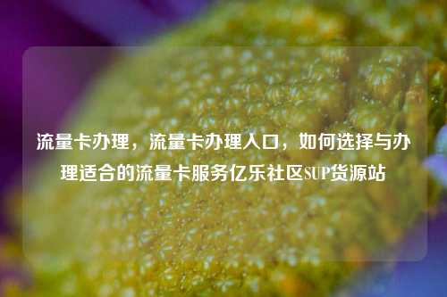流量卡办理，流量卡办理入口，如何选择与办理适合的流量卡服务亿乐社区SUP货源站  第1张