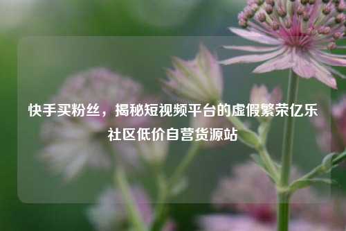 快手买粉丝，揭秘短视频平台的虚假繁荣亿乐社区低价自营货源站  第1张