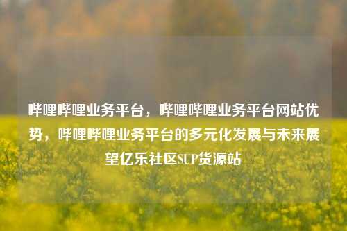 哔哩哔哩业务平台，哔哩哔哩业务平台网站优势，哔哩哔哩业务平台的多元化发展与未来展望亿乐社区SUP货源站  第1张