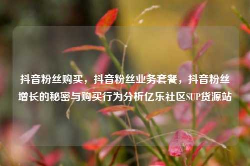 抖音粉丝购买，抖音粉丝业务套餐，抖音粉丝增长的秘密与购买行为分析亿乐社区SUP货源站  第1张