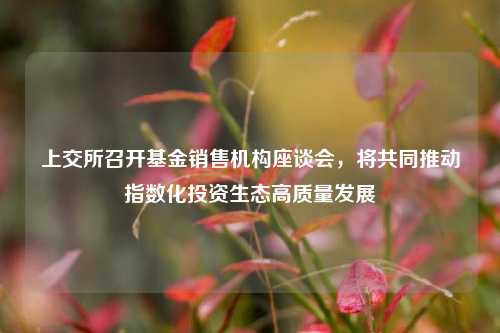 上交所召开基金销售机构座谈会，将共同推动指数化投资生态高质量发展  第1张