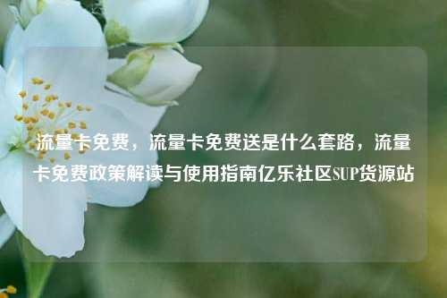 流量卡免费	，流量卡免费送是什么套路，流量卡免费政策解读与使用指南亿乐社区SUP货源站  第1张