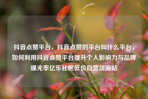 抖音点赞平台	，抖音点赞的平台叫什么平台，如何利用抖音点赞平台提升个人影响力与品牌曝光率亿乐社区低价自营货源站  第1张