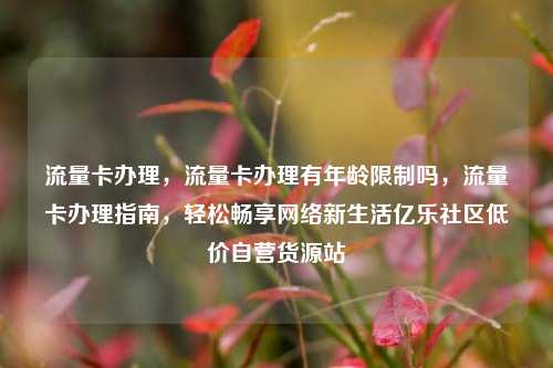 流量卡办理，流量卡办理有年龄限制吗	，流量卡办理指南，轻松畅享网络新生活亿乐社区低价自营货源站  第1张