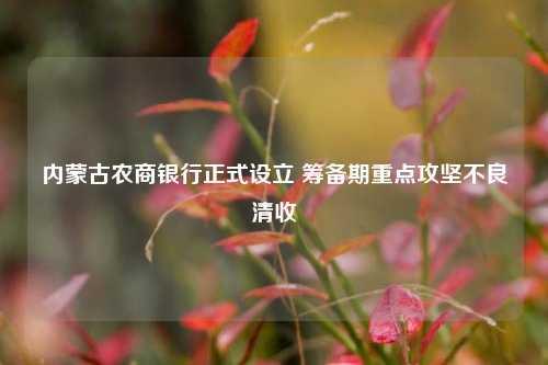 内蒙古农商银行正式设立 筹备期重点攻坚不良清收  第1张