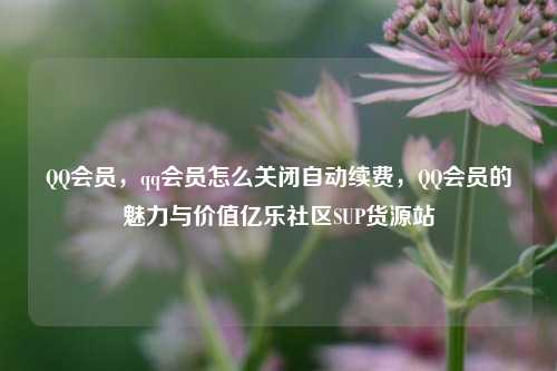 QQ会员，qq会员怎么关闭自动续费，QQ会员的魅力与价值亿乐社区SUP货源站  第1张
