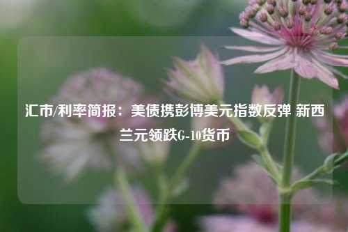 汇市/利率简报：美债携彭博美元指数反弹 新西兰元领跌G-10货币  第1张