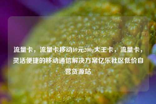 流量卡	，流量卡移动19元200g大王卡，流量卡，灵活便捷的移动通信解决方案亿乐社区低价自营货源站  第1张
