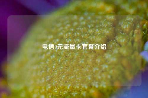 电信9元流量卡套餐介绍  第1张