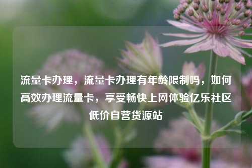 流量卡办理，流量卡办理有年龄限制吗	，如何高效办理流量卡，享受畅快上网体验亿乐社区低价自营货源站  第1张