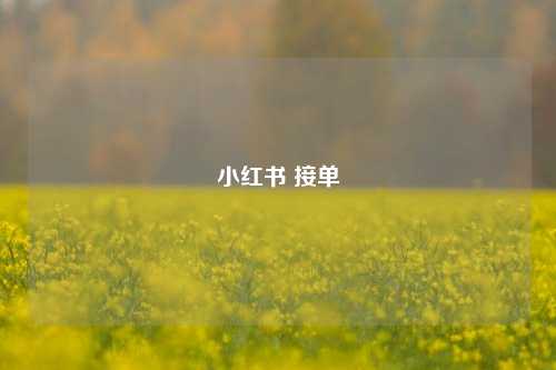 小红书 接单  第1张