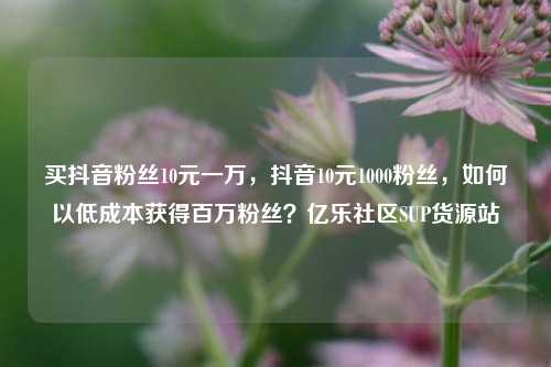 买抖音粉丝10元一万，抖音10元1000粉丝，如何以低成本获得百万粉丝？亿乐社区SUP货源站  第1张