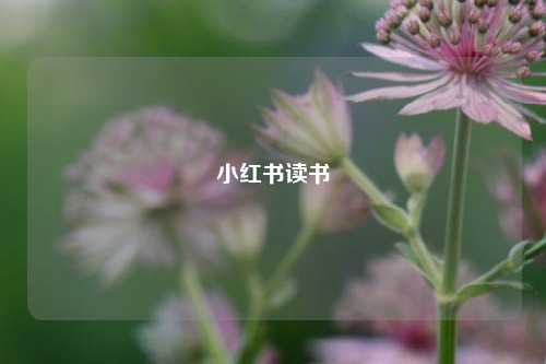 小红书读书  第1张