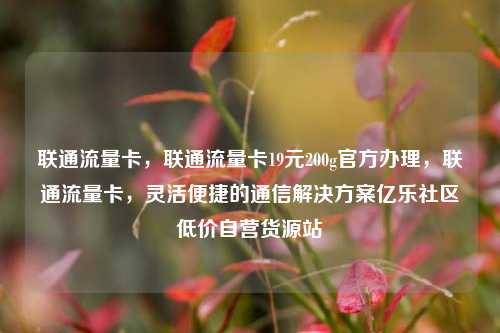 联通流量卡，联通流量卡19元200g官方办理，联通流量卡	，灵活便捷的通信解决方案亿乐社区低价自营货源站  第1张
