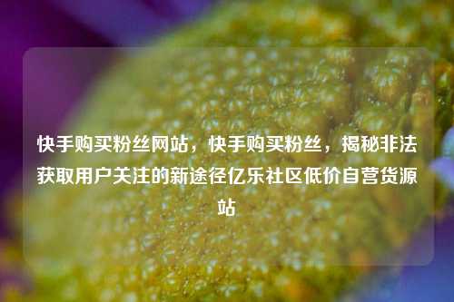 快手购买粉丝网站，快手购买粉丝，揭秘非法获取用户关注的新途径亿乐社区低价自营货源站  第1张