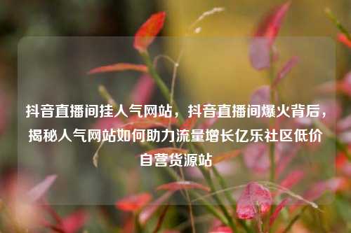 抖音直播间挂人气网站	，抖音直播间爆火背后，揭秘人气网站如何助力流量增长亿乐社区低价自营货源站  第1张