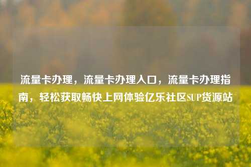 流量卡办理，流量卡办理入口，流量卡办理指南	，轻松获取畅快上网体验亿乐社区SUP货源站  第1张